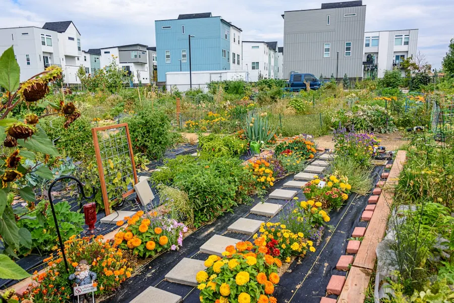 Aan de slag in je tuin