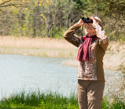 Top thema vogels kijken